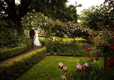Intimate Wedding 11