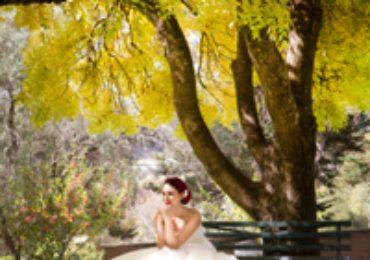 Intimate Wedding 45