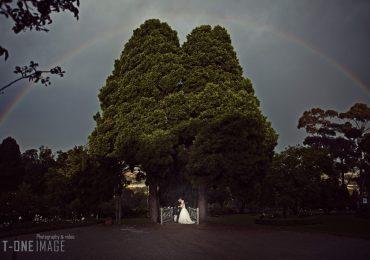Intimate Wedding 6
