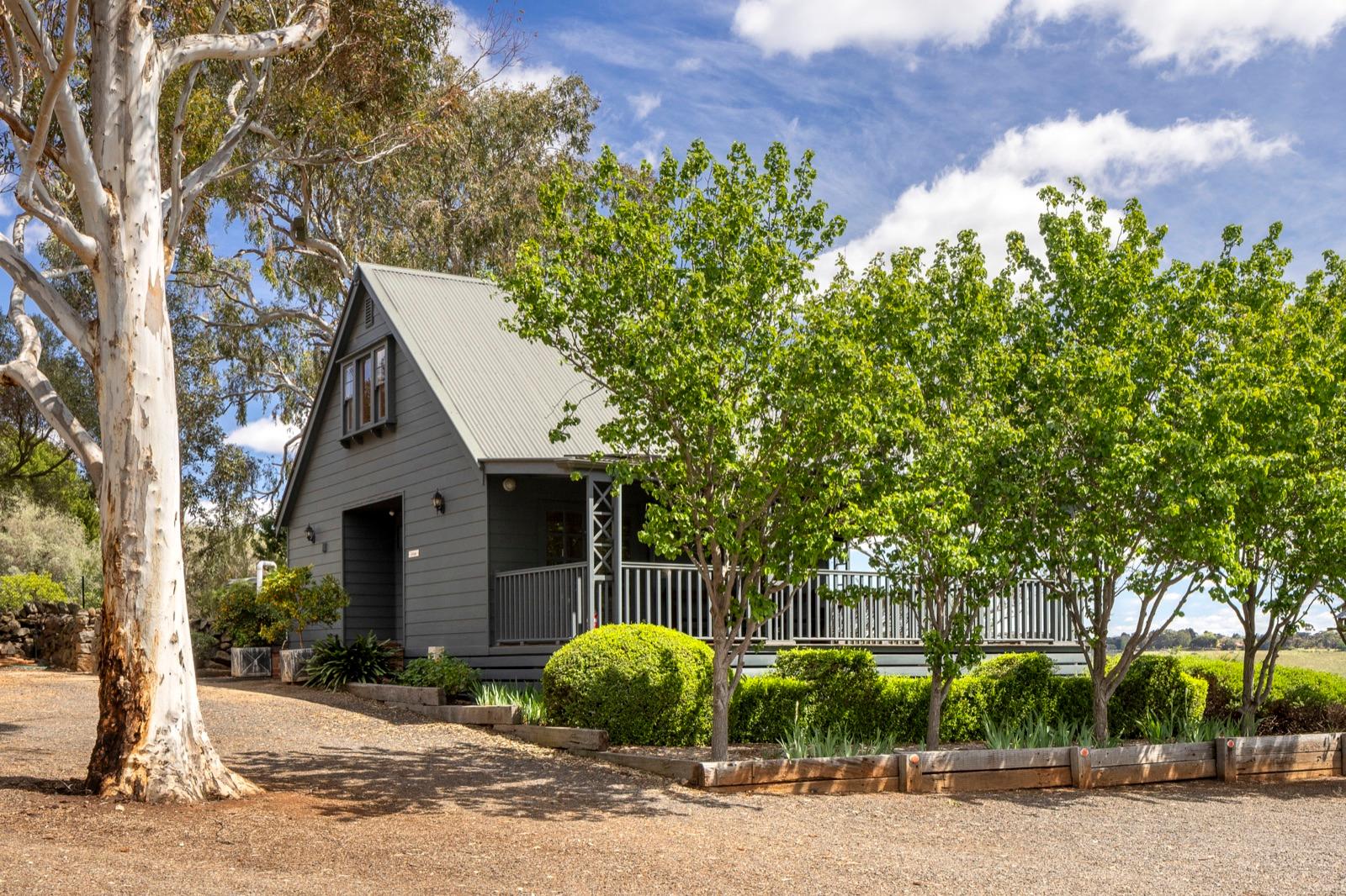 Cottage beneath a towering gum tree